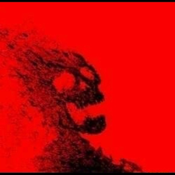 Meet your Posher, Christopher - Picture 1 of 1